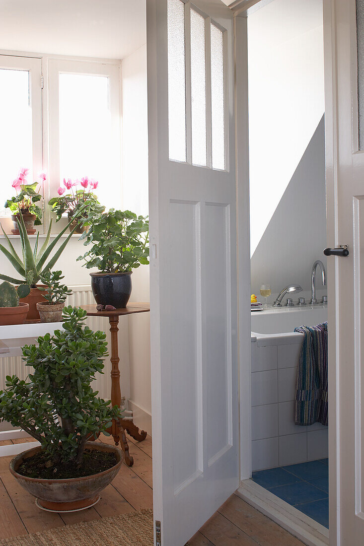 Bathroom view through open door, houseplants