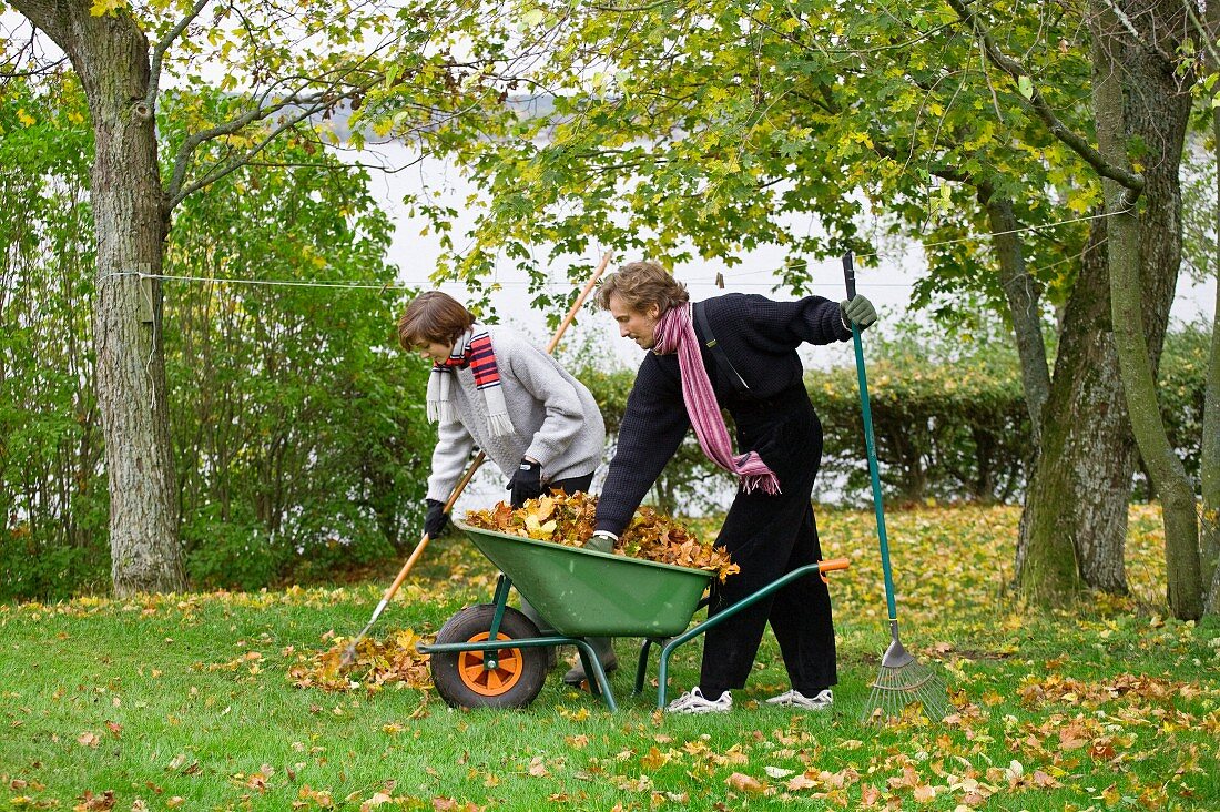 Junges Paar kehrt das Laub im Garten zusammen