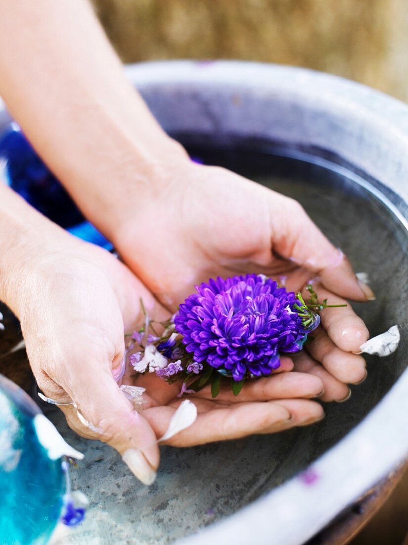 Frauenhände mit Blüten in einer Waschschüssel