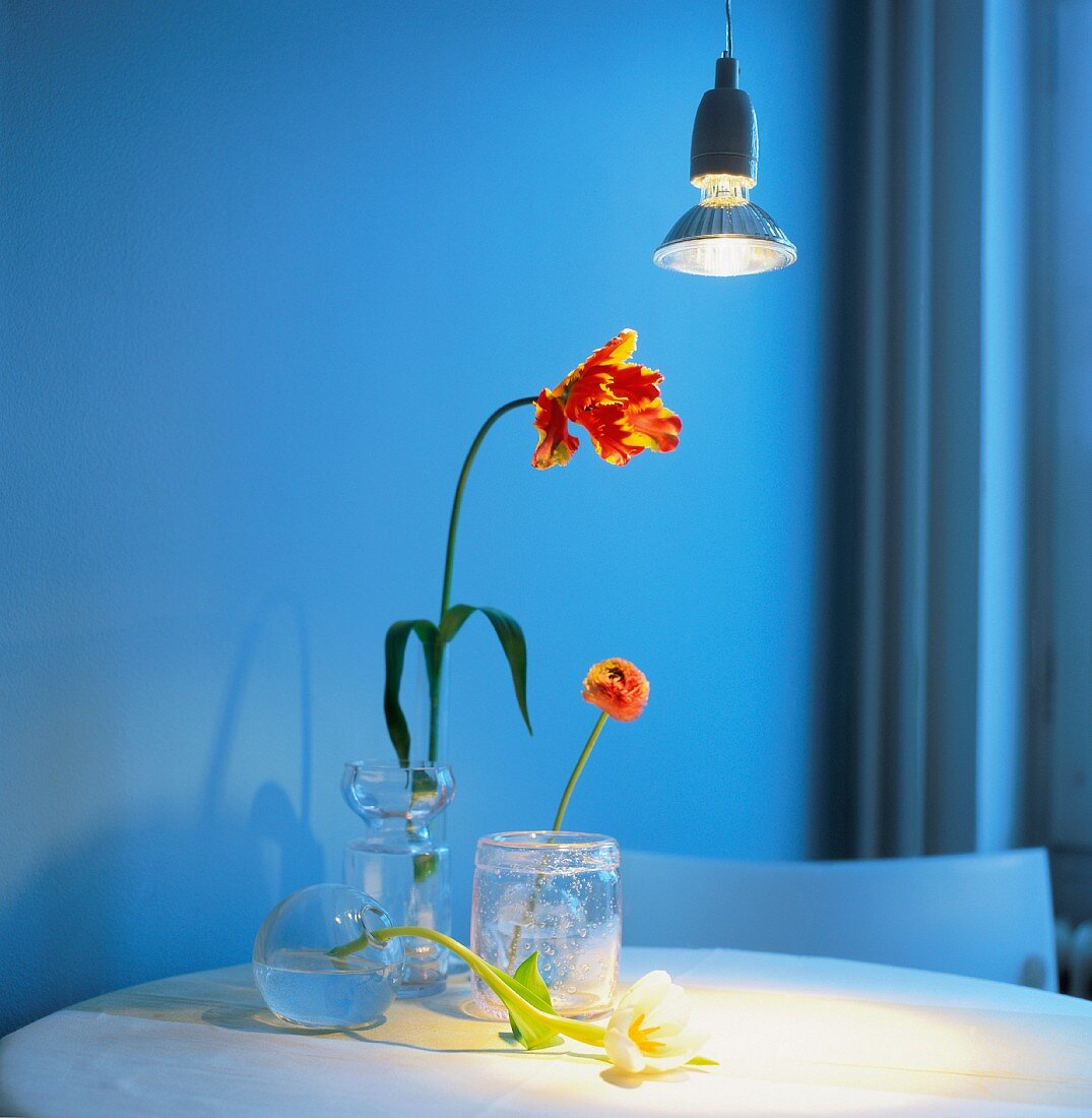 Blumen in Vasen auf einem Tisch, darüber eine Halogenlampe