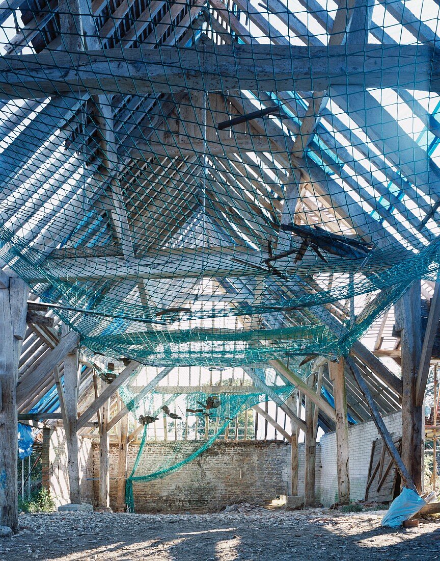 Net stretched beneath roof timbers in dilapidated barn