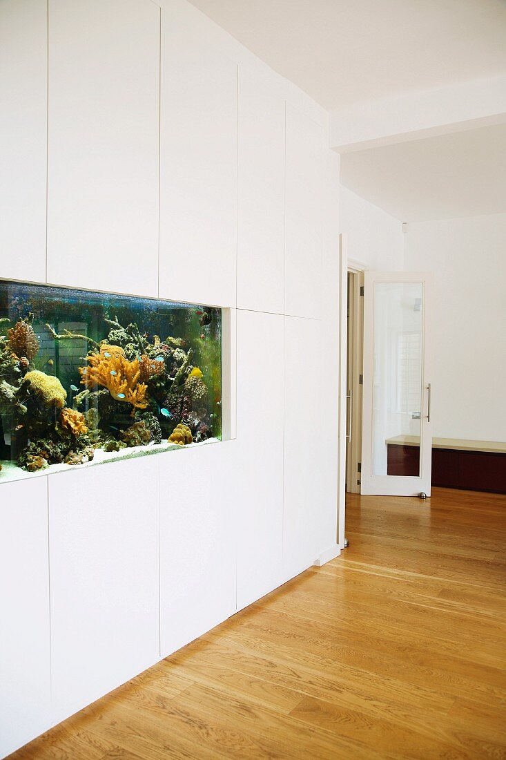 Ein eingebautes Aquarium