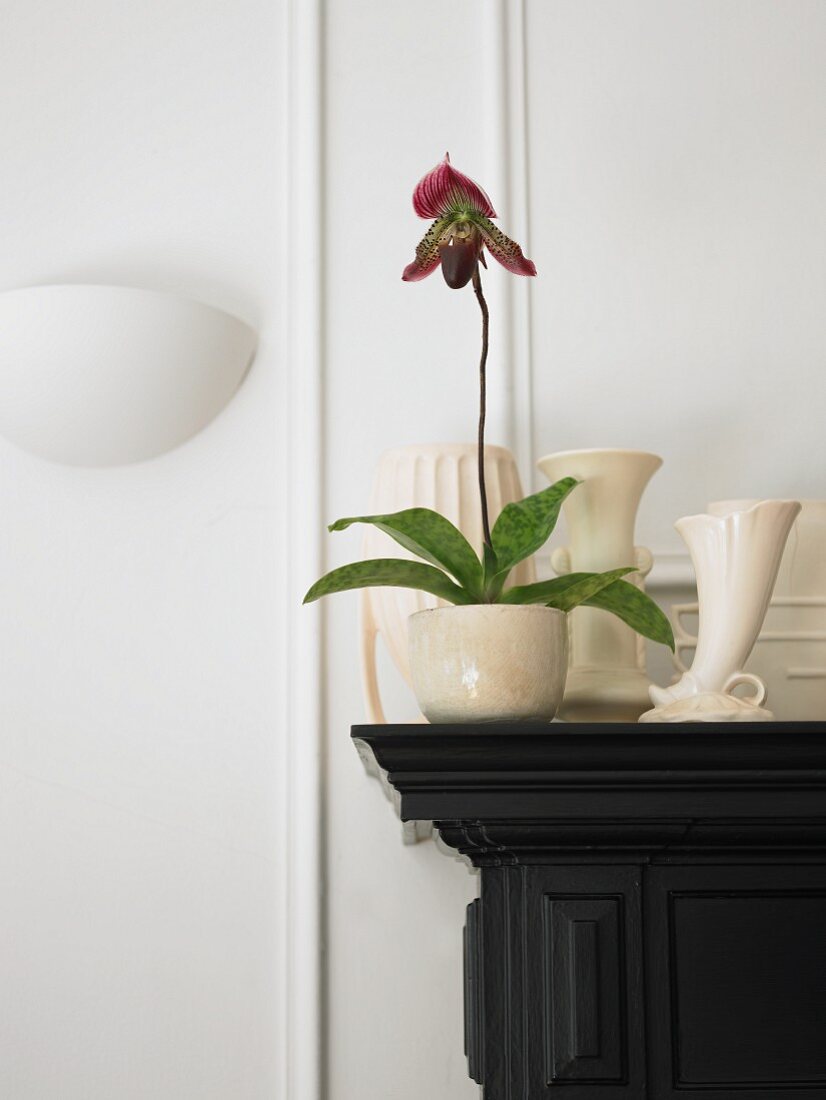 Orchidee in weisser Vase auf Kaminsims