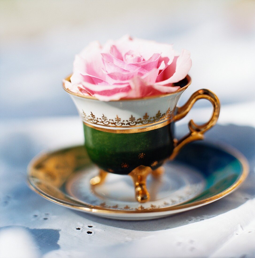 Eine Rose in einer antiken Kaffeetasse mit goldenem Griff