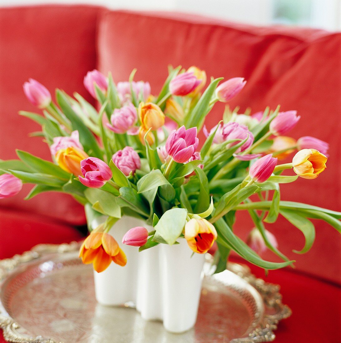 Multi-coloured tulips in vase