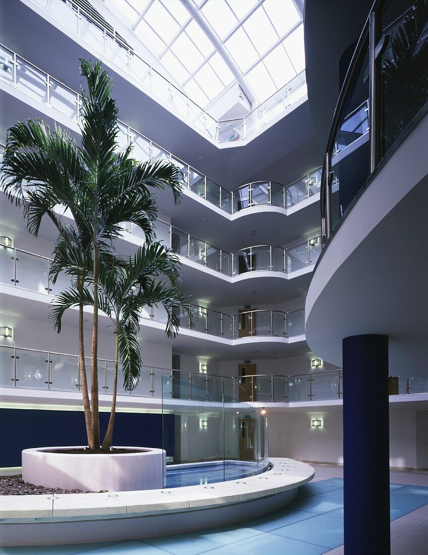 Palme in der Eingangshalle eines Appartementhauses mit natürlicher Belichtung durch das weite Glasdach