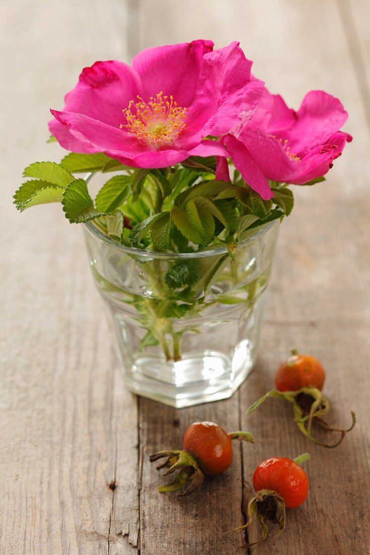 Rosehips next to wild roses in a glass of water