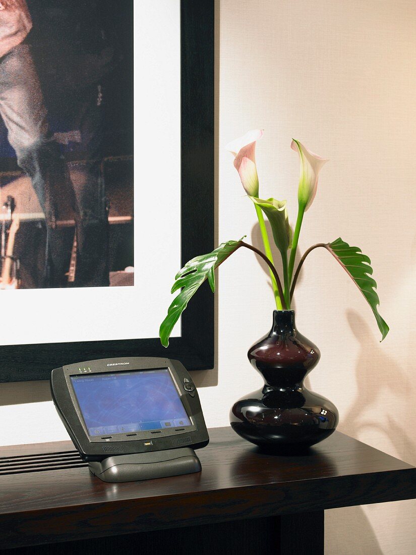 Ablage aus dunklem Holz vor Wand mit Blumenvase neben Kontrollmodul mit Bildschirm