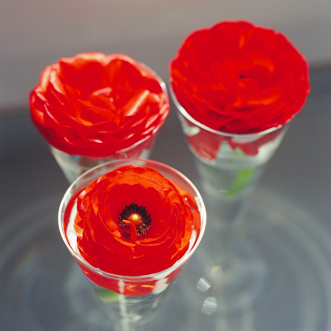 Red flowers in glass goblets
