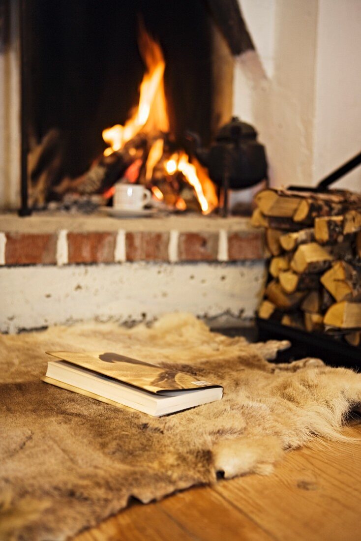 Book lying on animal skin rug in front of open fire