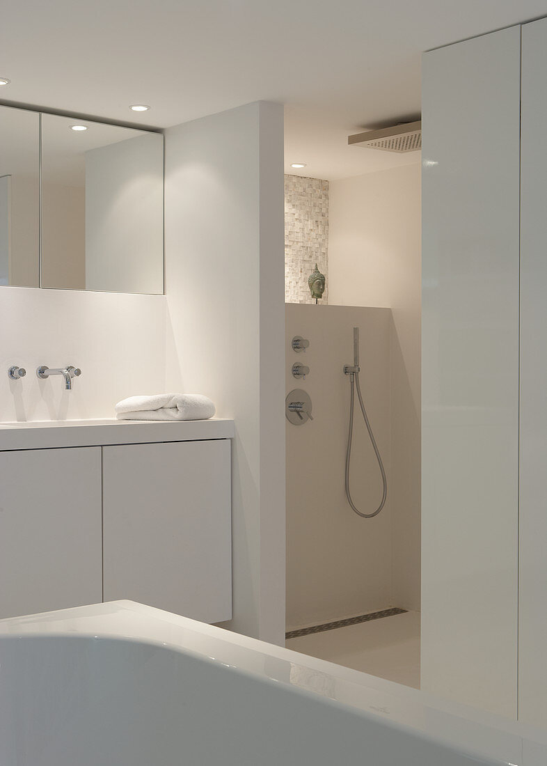 A white designer bathroom with a separate shower area
