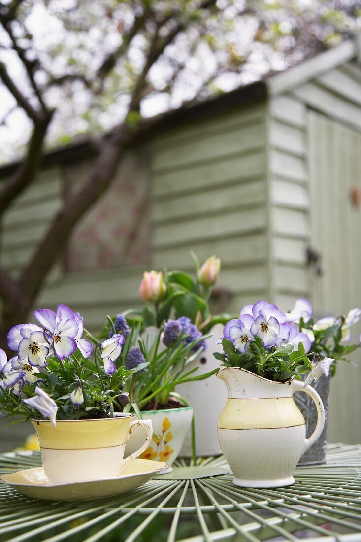 Frühlingsblumen in Töpfen auf einem Gartentisch