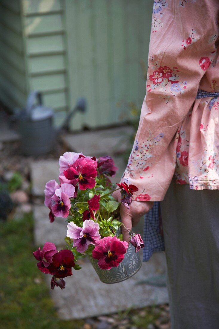 Frau trägt Blumentopf mit Veilchen