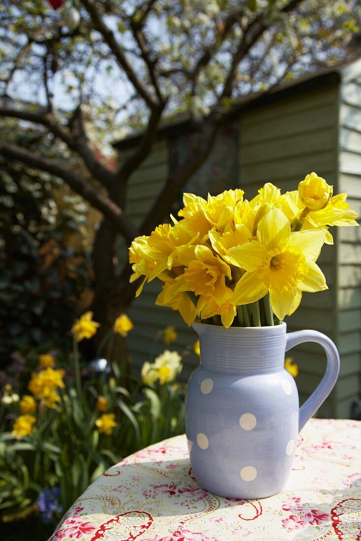Daffodils in jug on garden table