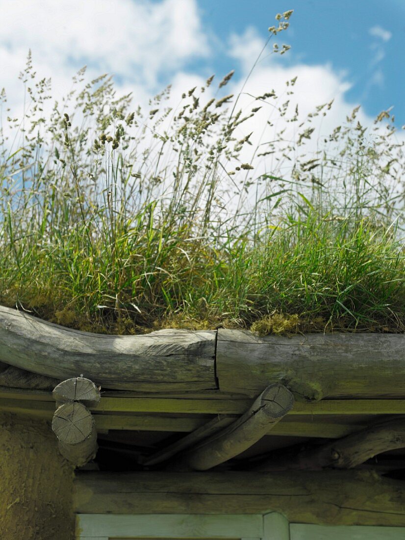 Green roof on porch made of unworked wooden beams and branches