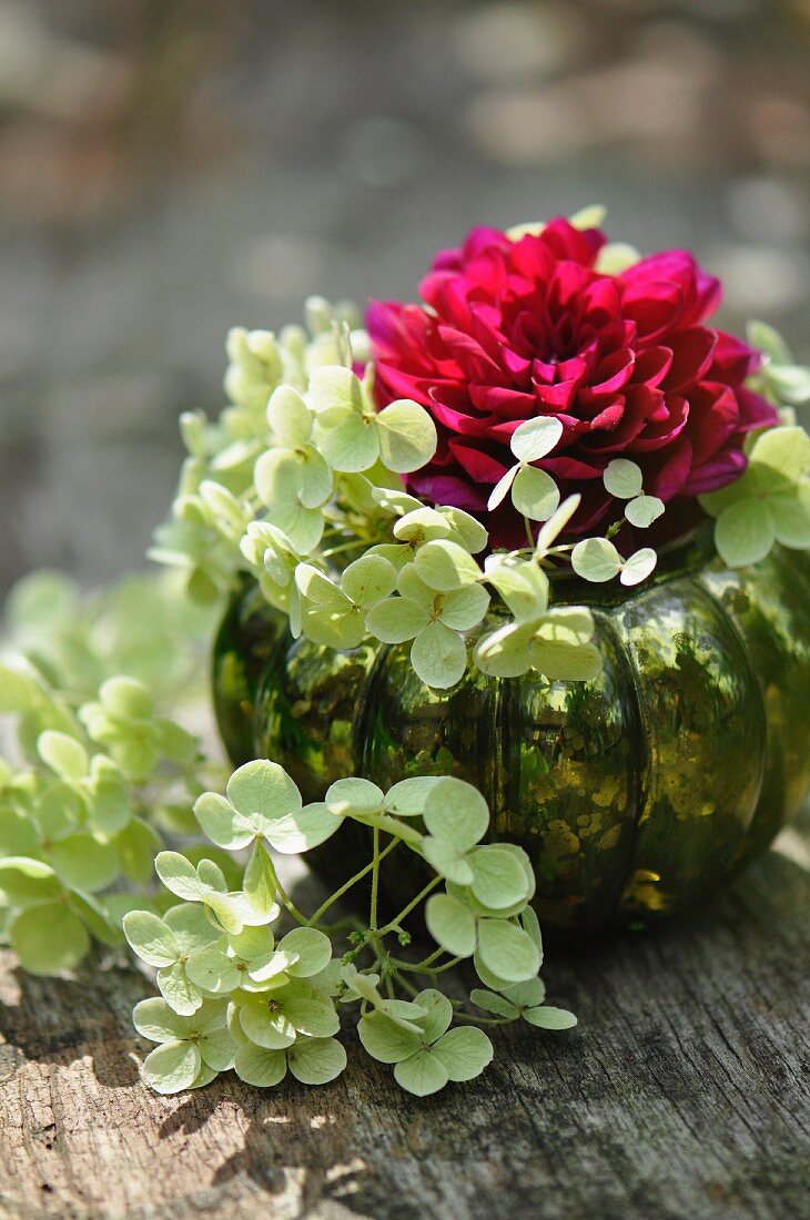 Pink dahlia & white hydrangeas in vase