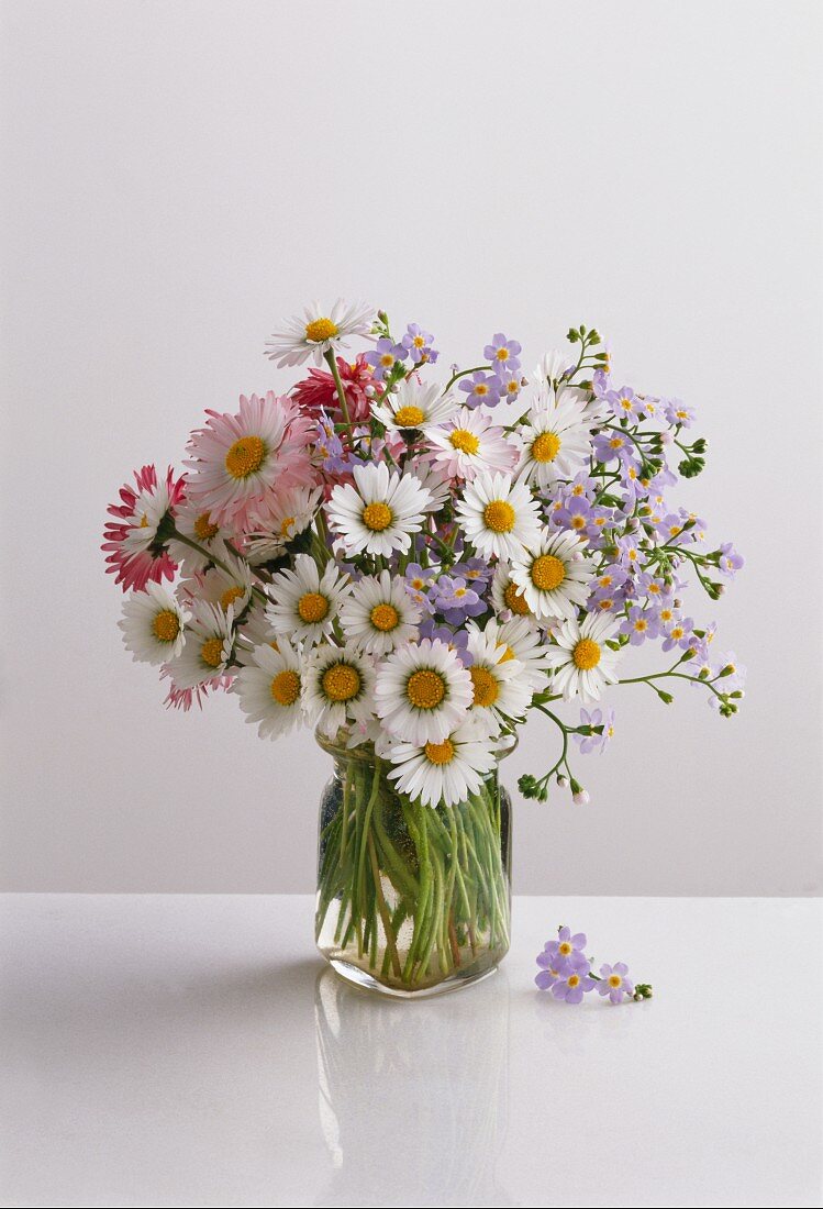 Posy of wild flowers with daisies & forget-me-nots