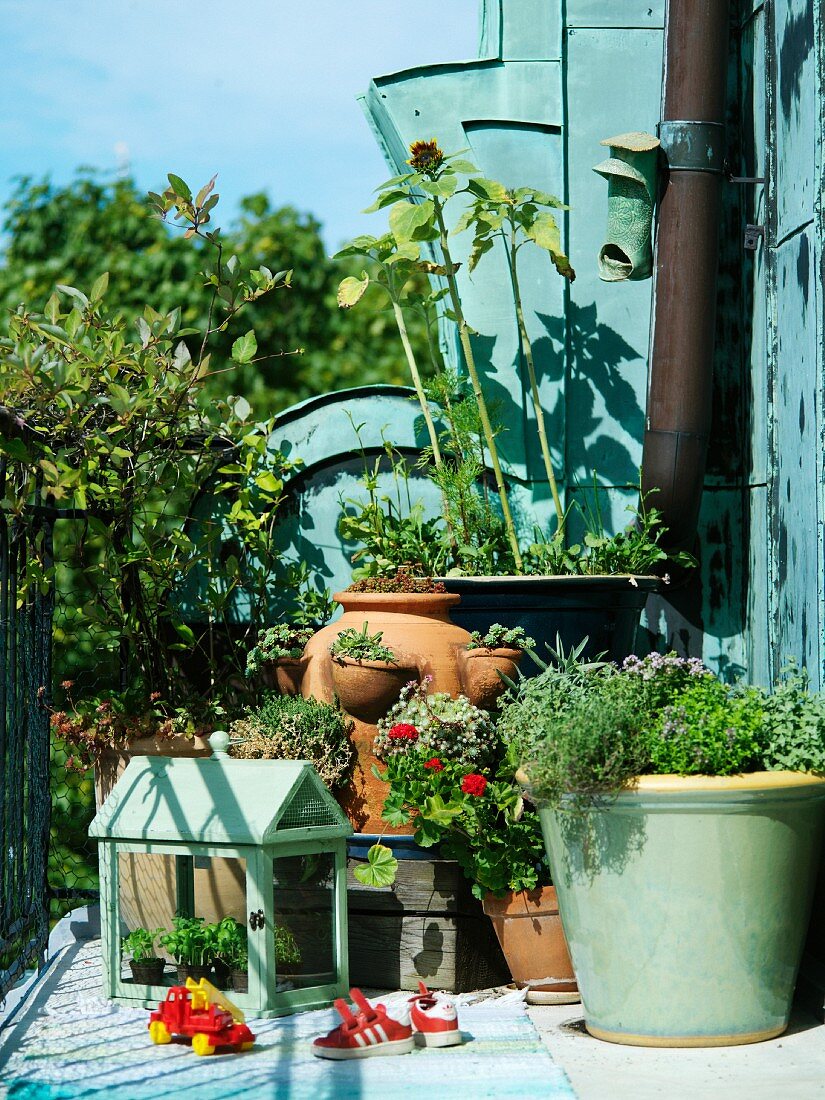Sonnige Stimmung auf Balkon mit Pflanzentöpfen und Minigewächshaus