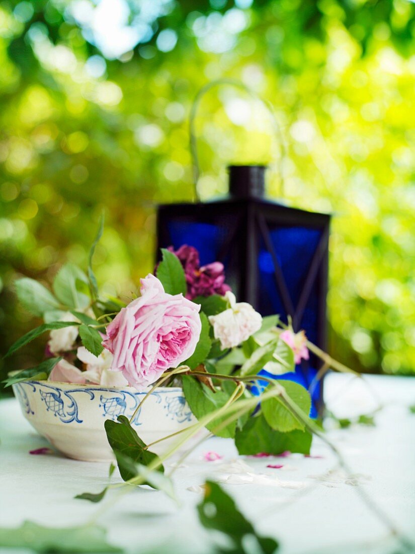 Garden roses in bowl in front of blue glass lantern