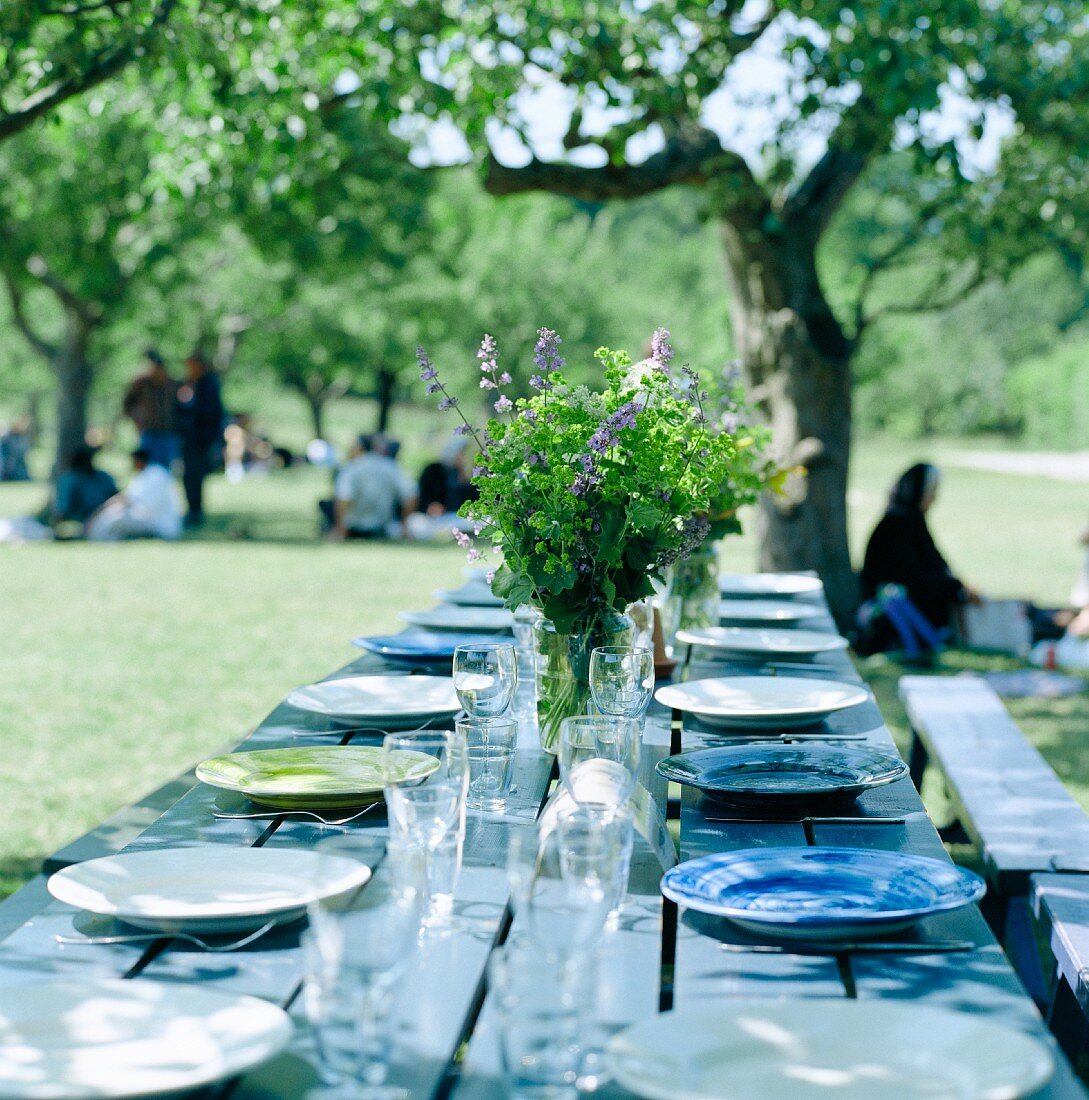 A long table laid in a garden