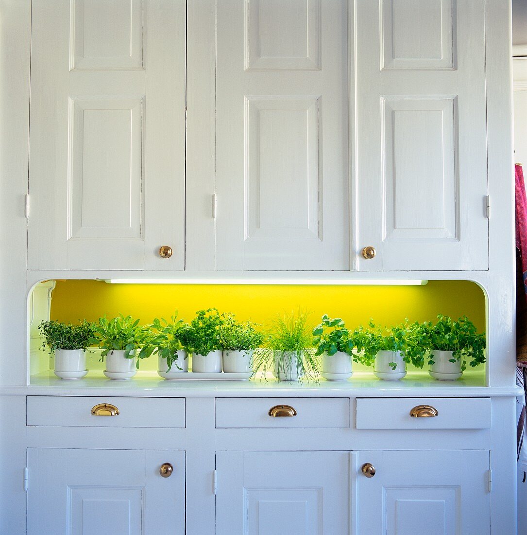 Weisses Küchenbuffet mit Kräutertöpfen in Nische vor grün getönter Wand