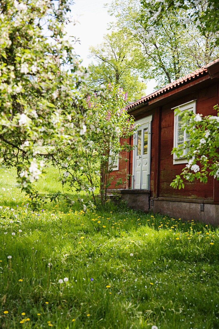 Holzhaus im Garten mit blühenden Bäumen