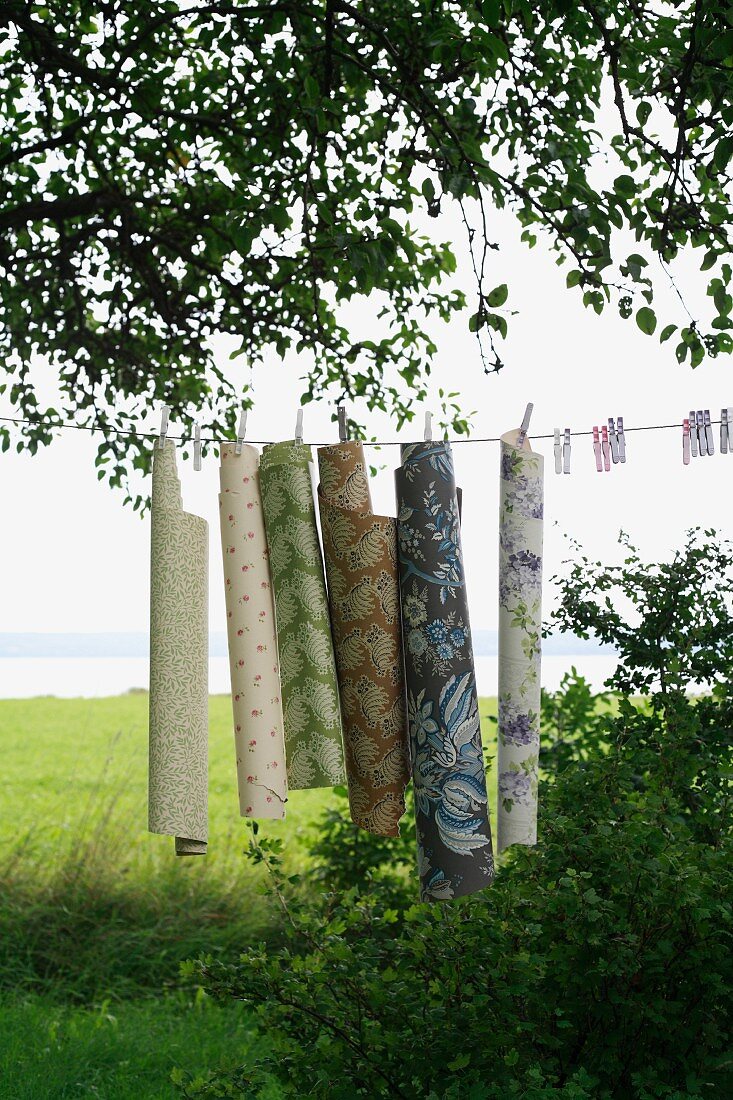 Rolls of carpet hanging on a clothes line in the garden