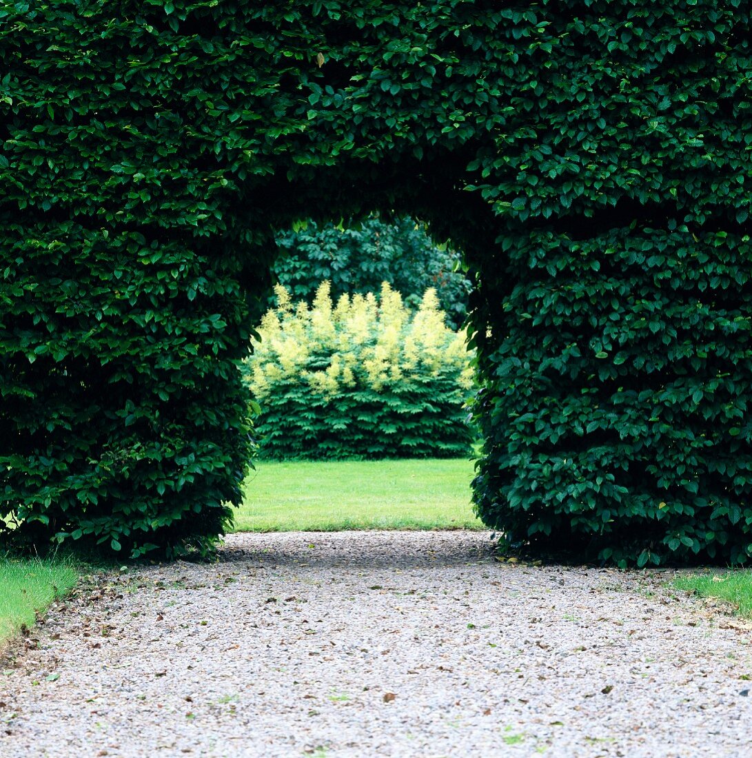 Doorway in a garden hedge