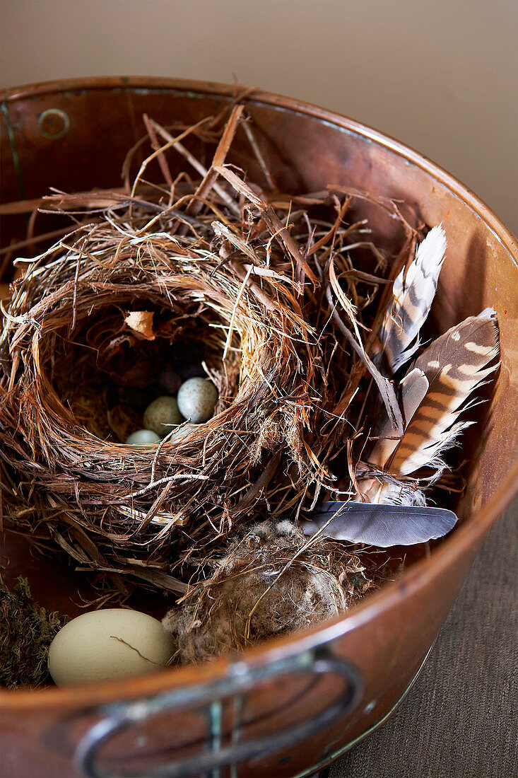 Stilisiertes Nest mit Federn und verschiedenen Eiern in Metallschale