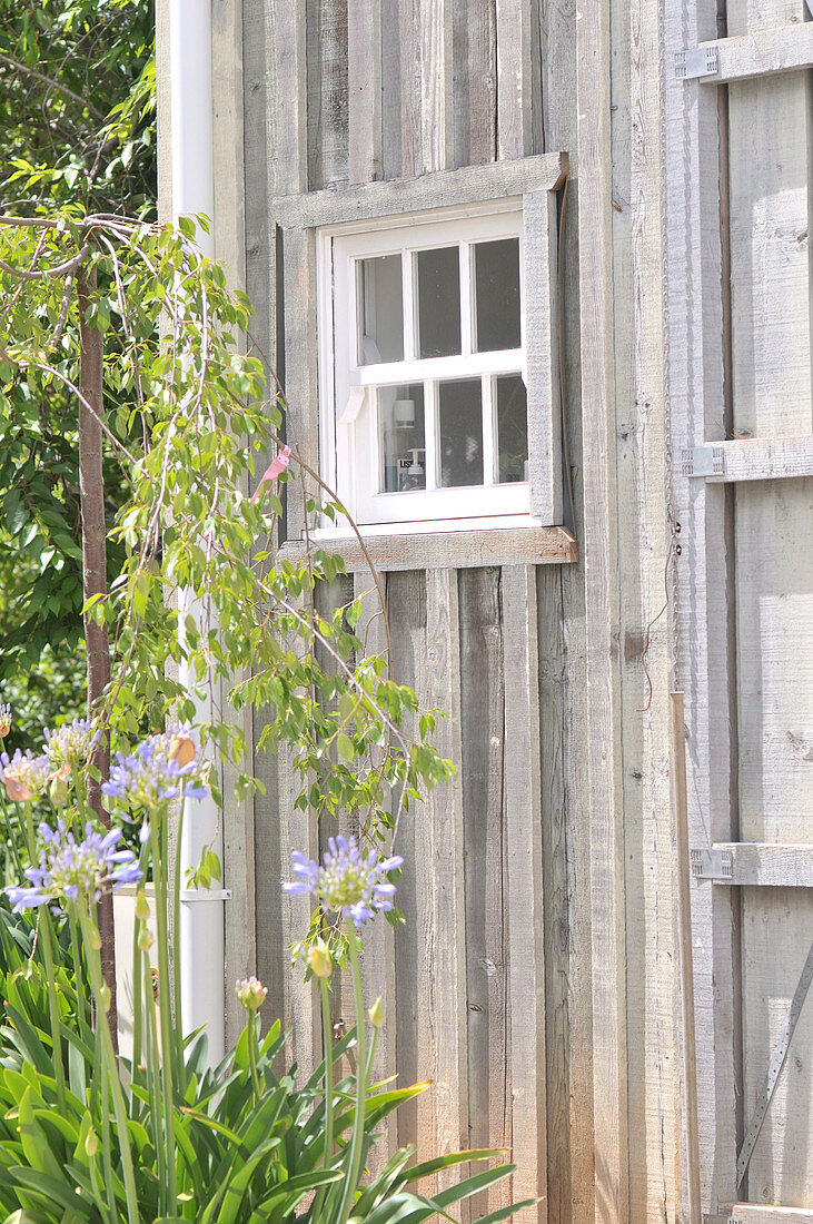 Kleines Sprossenfenster im Gartenhaus mit Holzfassade