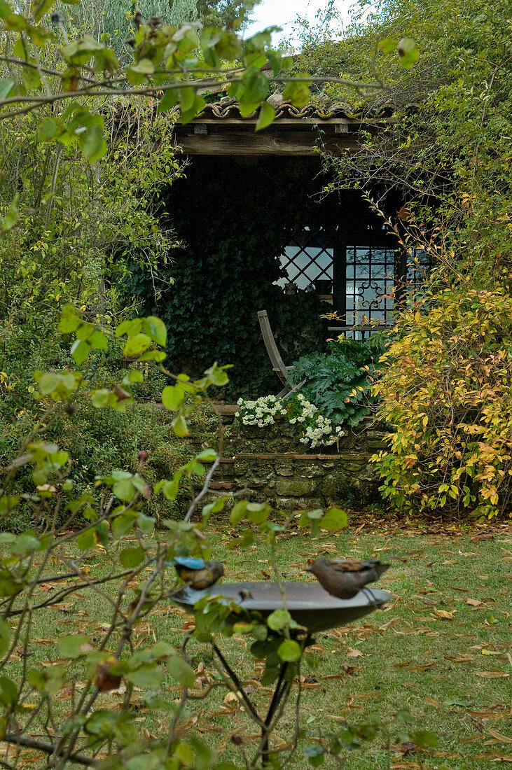 Zugewachsenes Gartenhäuschen mit Vogelbecken im Garten