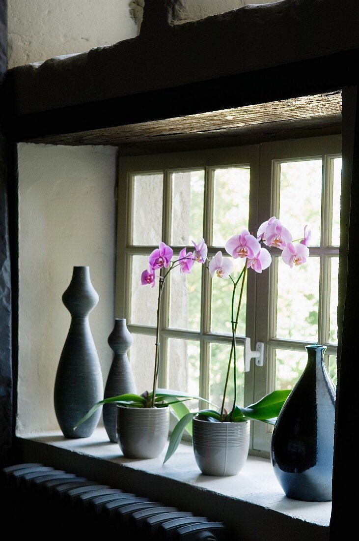 Potted violet orchids and hand-made ceramic vases on windowsill