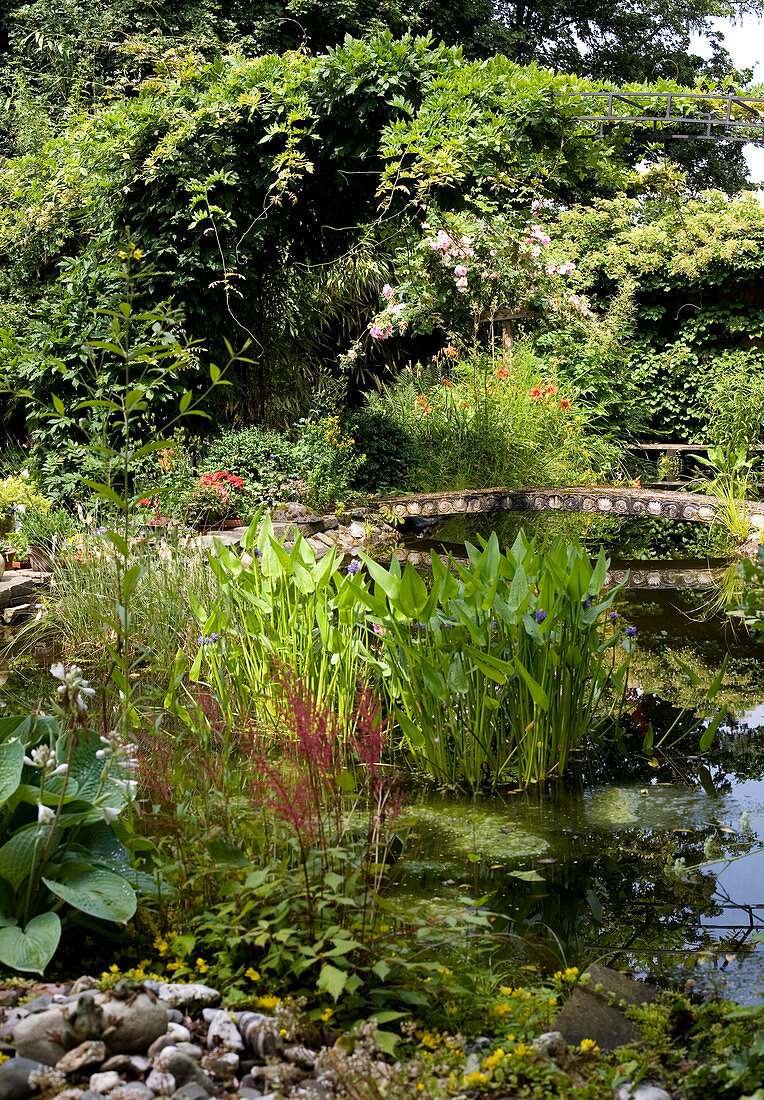 Naturnaher Teich mit einer Brücke im Sommergarten