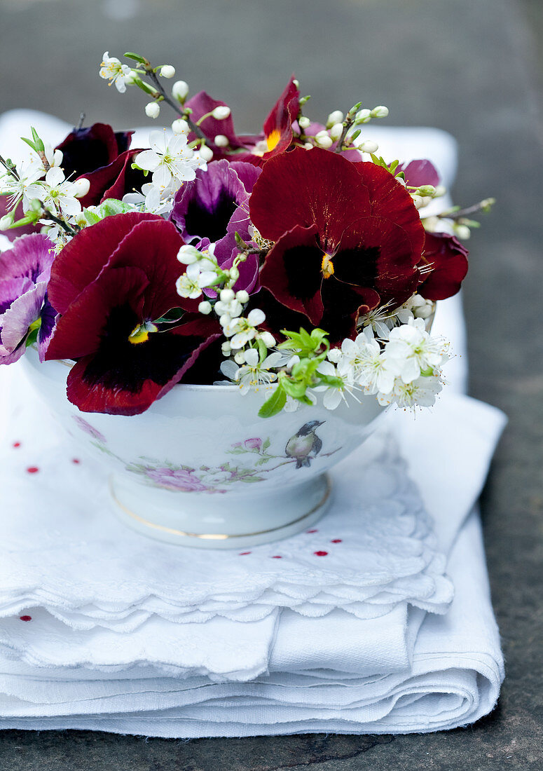 Red violas in floral teacup