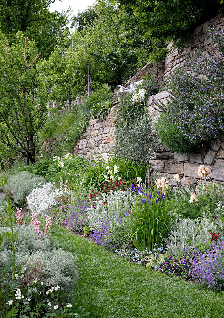 Sommerlicher Garten mit blühender Mauer