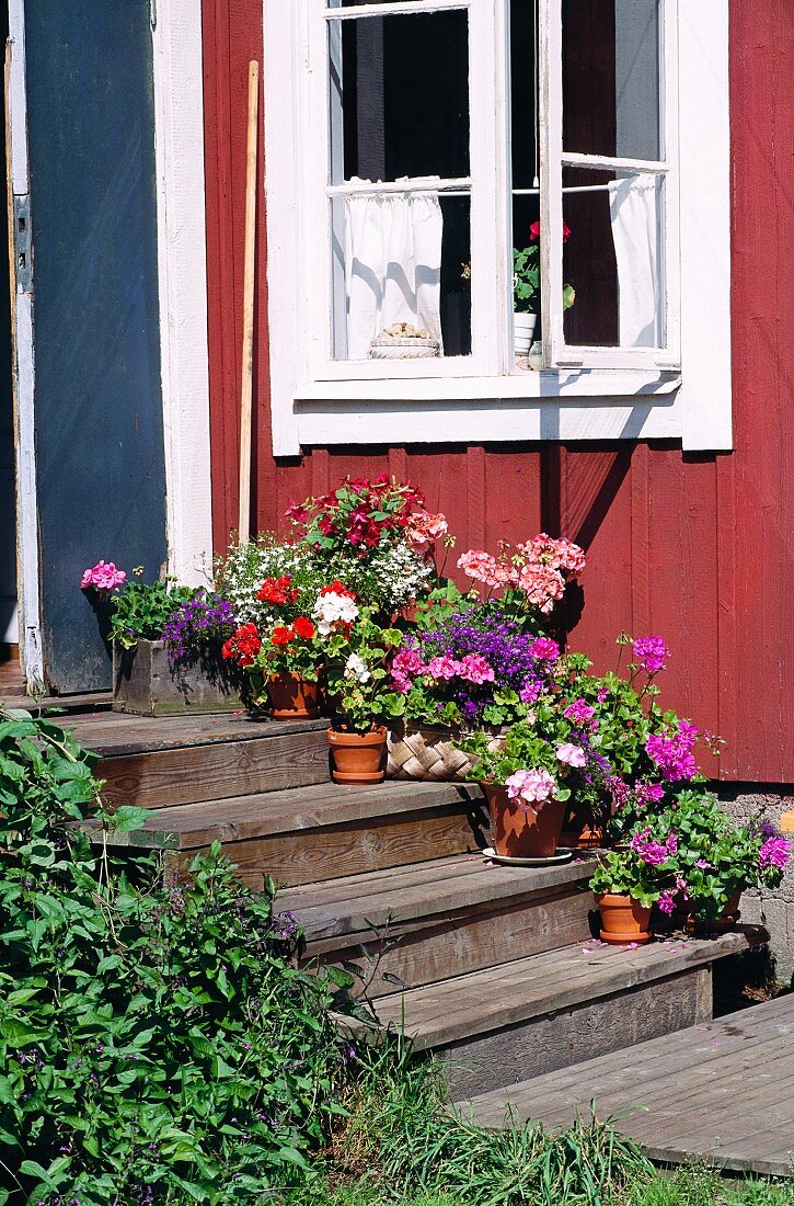Plant pots on wooden stairs in front of a front door