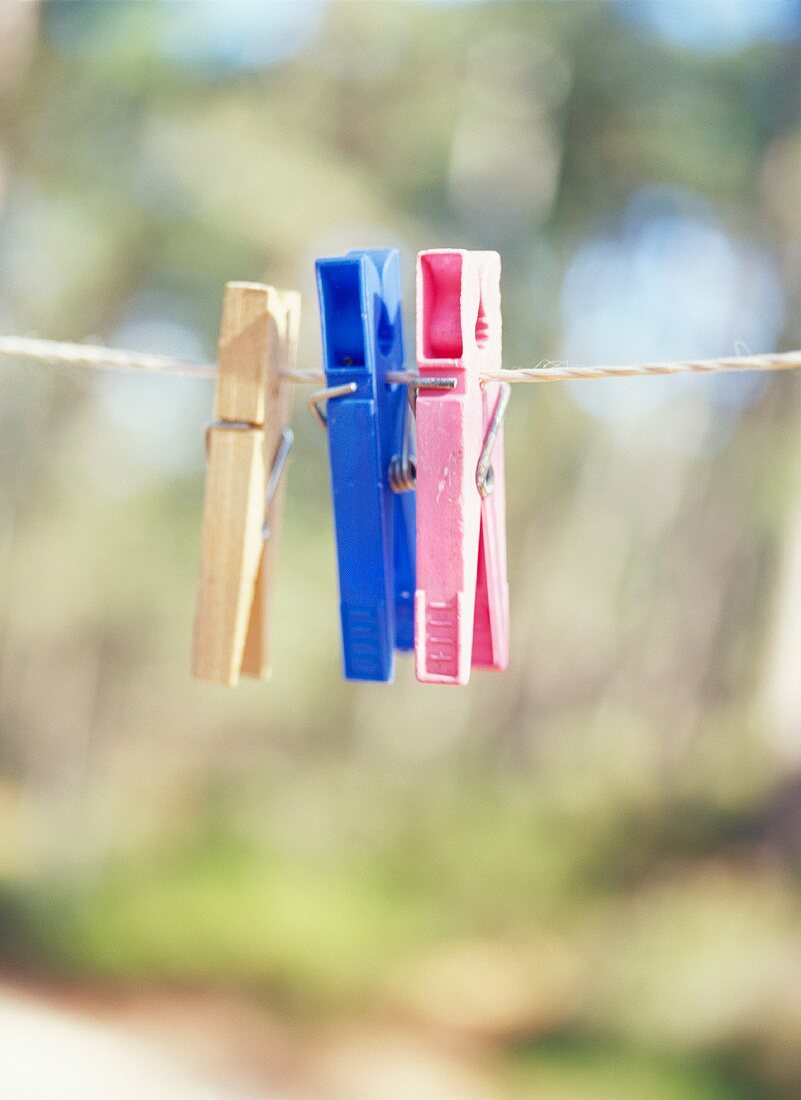 Clothes pins in assorted colors on the clothes line