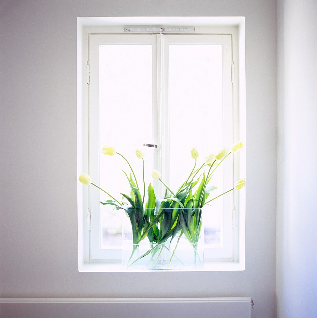 Window niche with yellow tulips in a glass vase