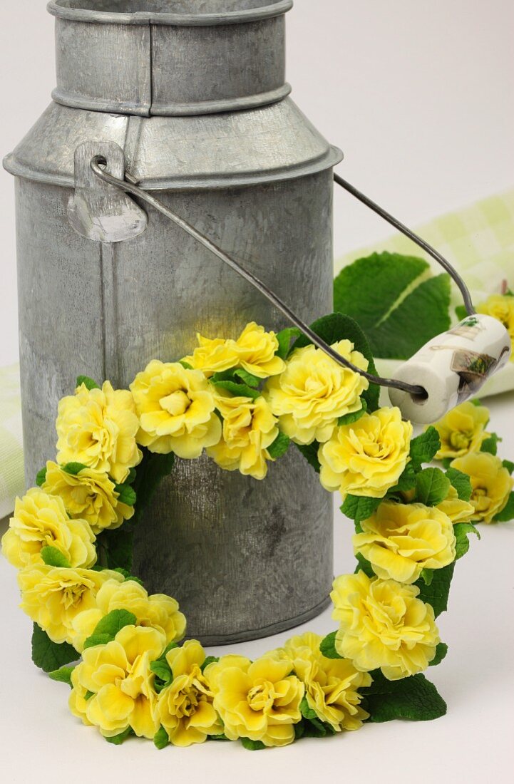 Milk can and spring wreath of yellow primulas