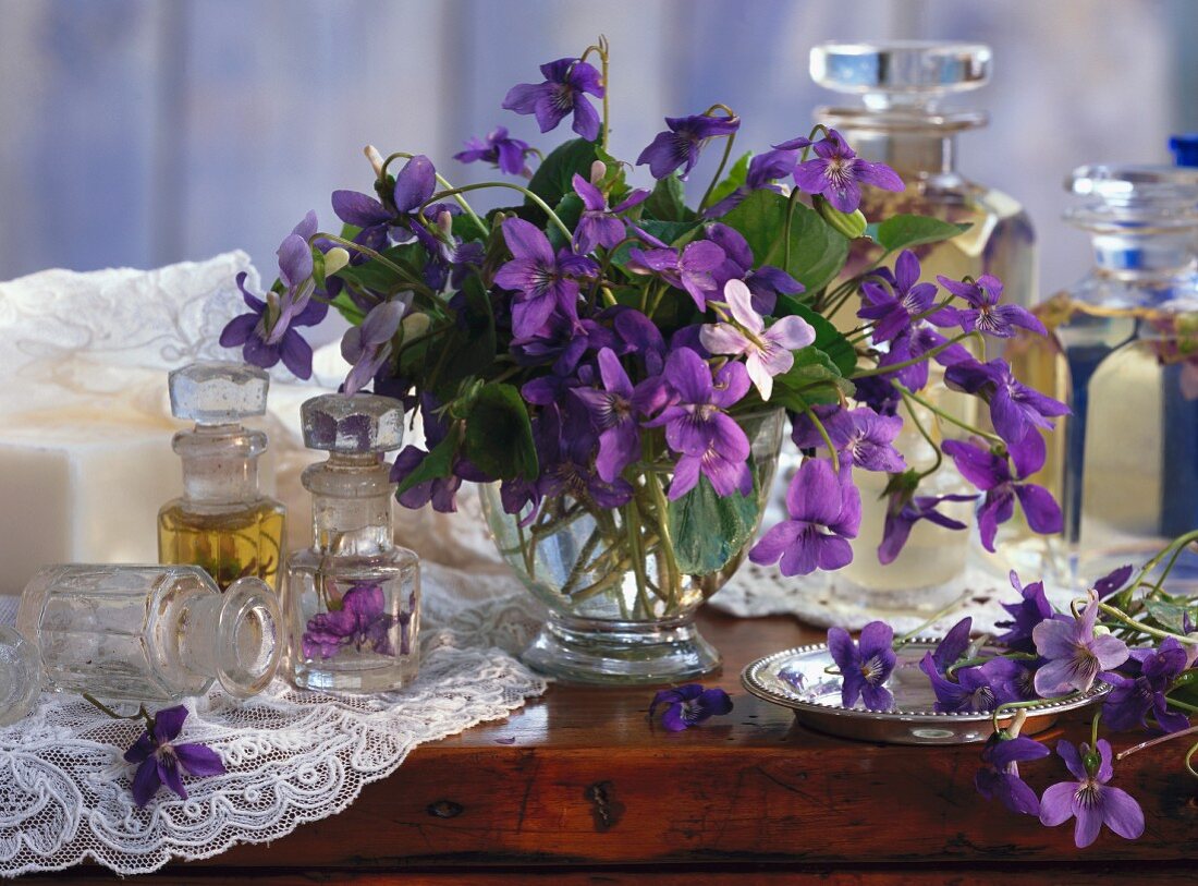 Violetter Frühlingsstrauss in Glasvase neben verschiedenen Glasbehältern auf Holzablage