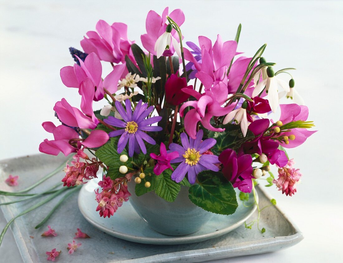 Violetter Blumenstrauss in Keramikvase auf Schale und Tablett