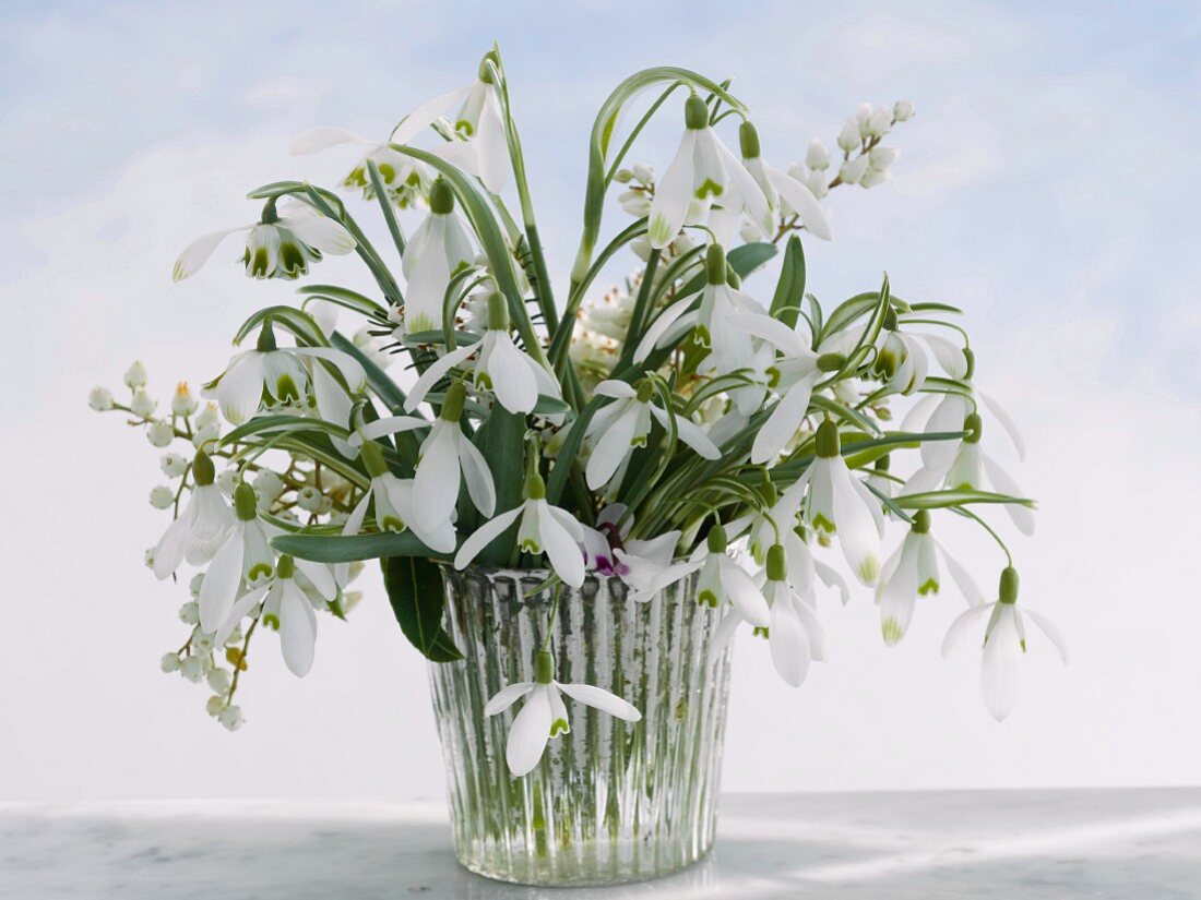 Posy of snowdrops in glass vase