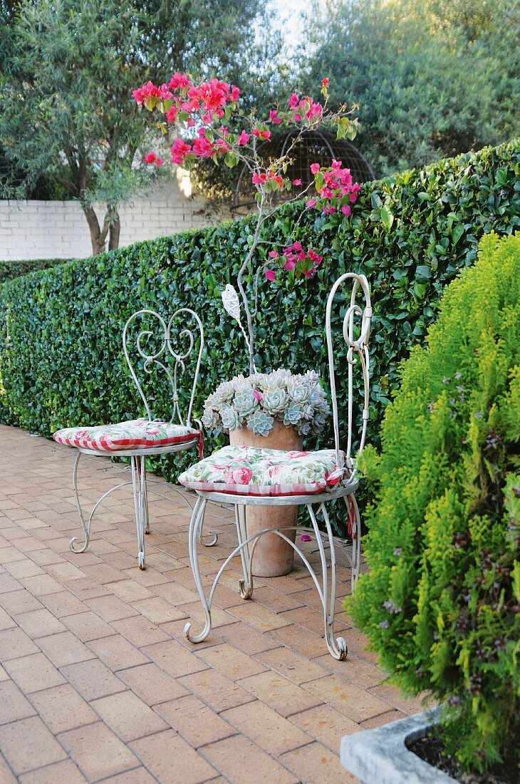 White, curved wire chairs with floral cushions in front of hedge and potted bougainvillea