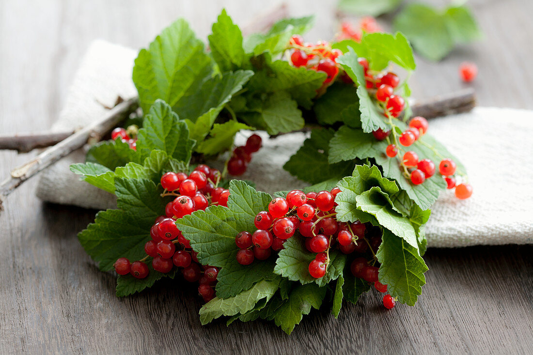 A wreath of redcurrants
