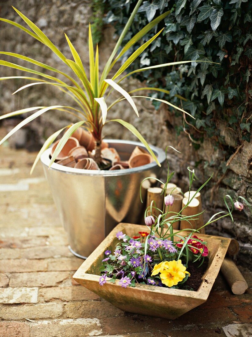 Bowl of flowers in front of palm tree in metal planter on stone floor