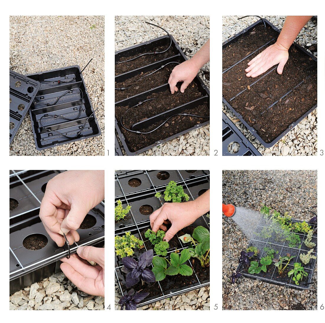 Gartenarbeit - Einsetzen von verschiedenen Pflanzen in Behälter aus Kunststoff