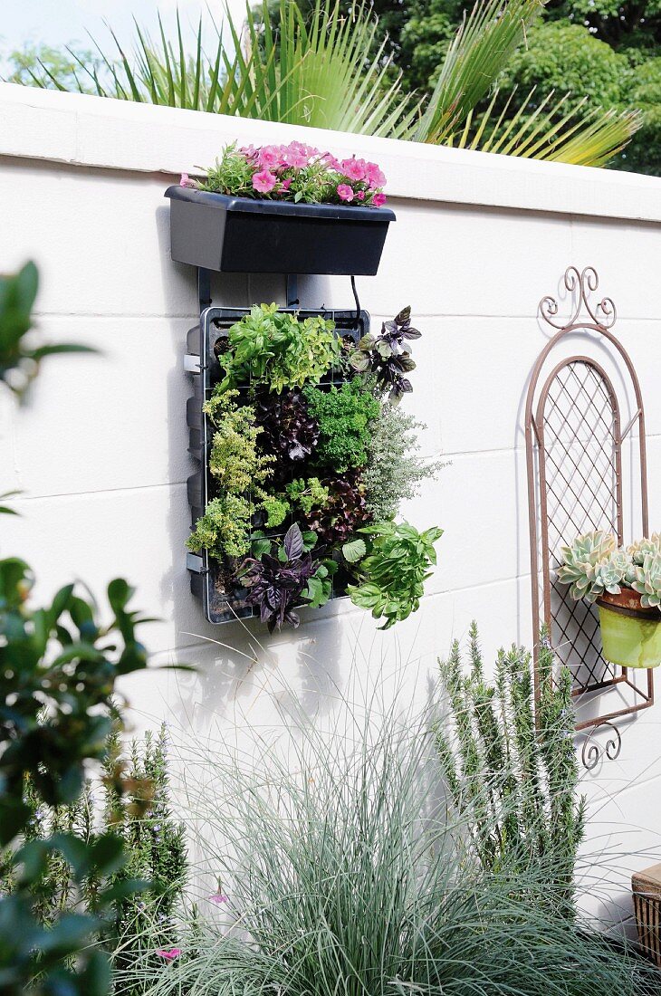 Blumenkasten und Kräutertöpfe im Behälter an Gartenmauer gehängt