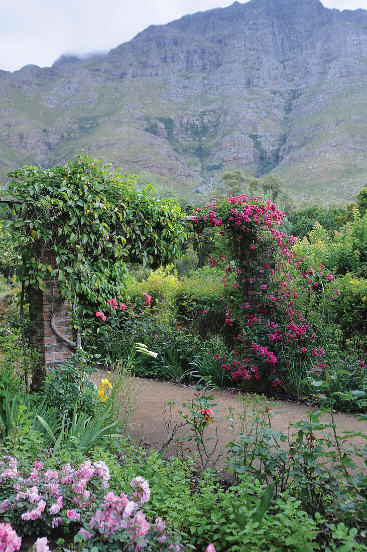 Pergola mit Kletterrose vor Gebirgszug