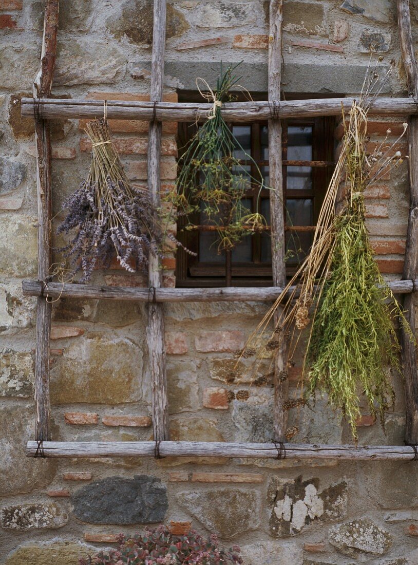 Getrocknete Kräutersträusse hängen am Holzgitter vor Fenster eines Rustikos