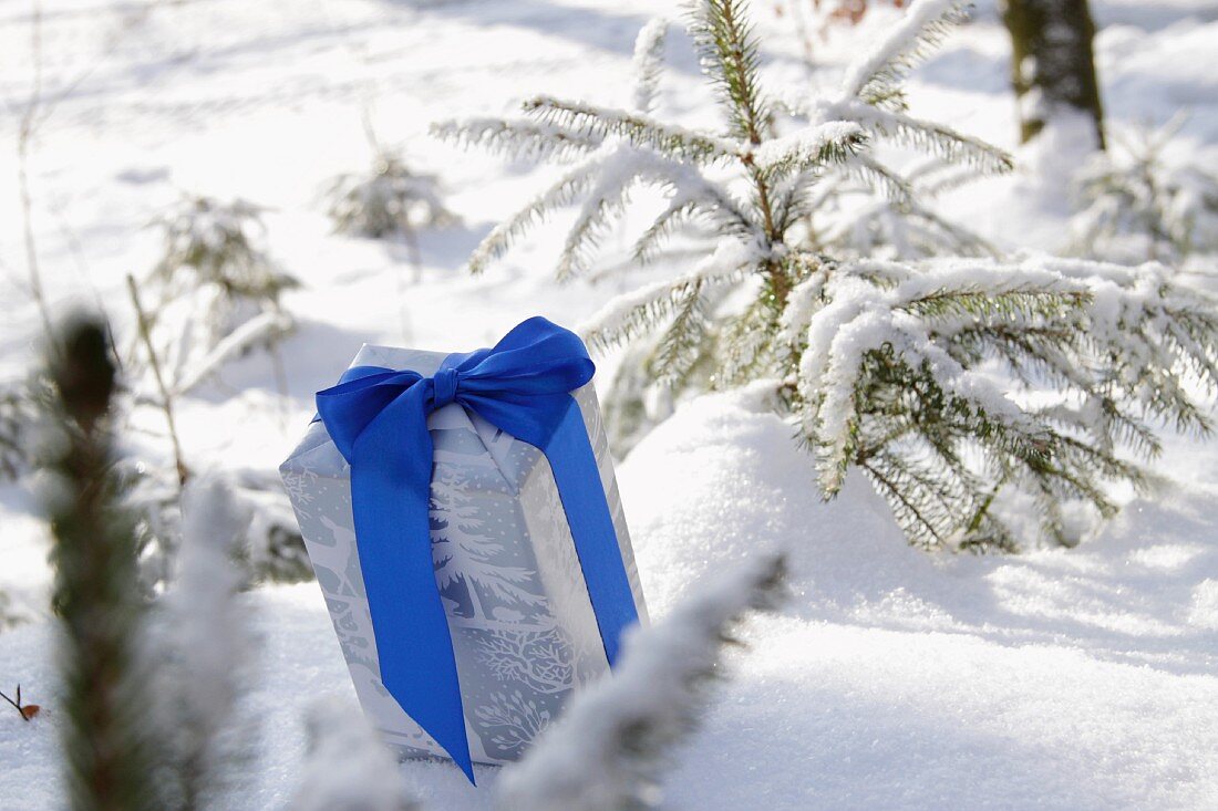 Geschenk mit blauer Schleife auf Schnee